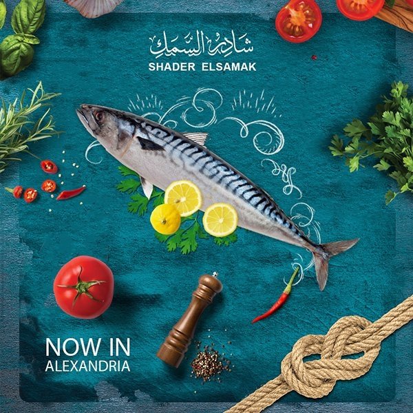 Shader Elsamak social Media